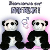 BIENVENUE